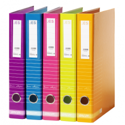 Pasta de Arquivo ANCOR Lombada Estreita (320x255x47)