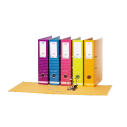 Pasta de Arquivo ANCOR Lombada Larga (320x285x75)